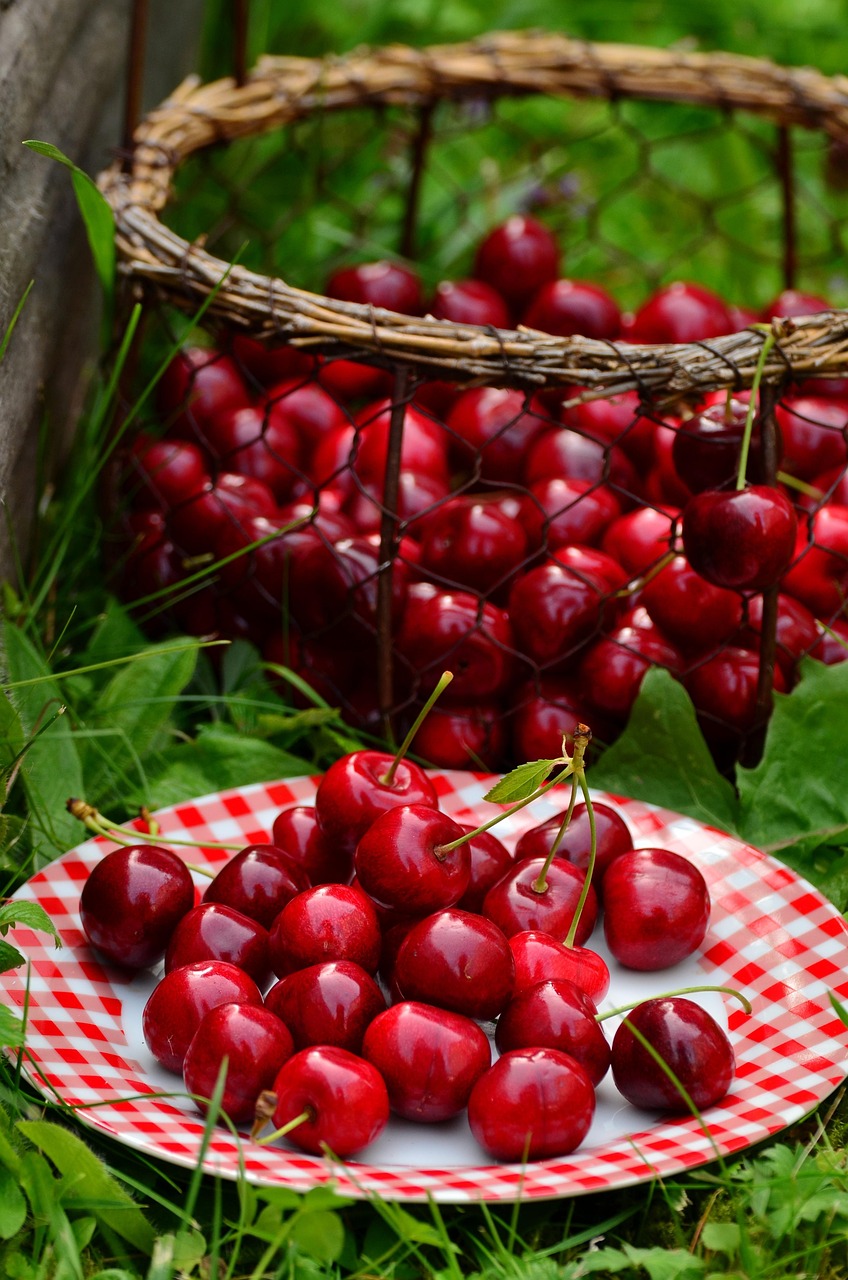 services-02 cherries, fruit, sweet cherry, cherry harvest, red, garden, nature, summer, basket, plate